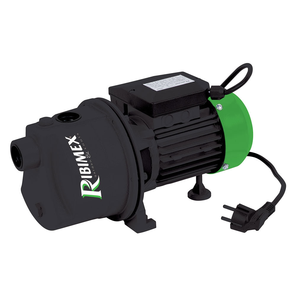 RIBIMEX - Elettropompa Autoadescante 'Prjet' 1 Hp COD. 2066240