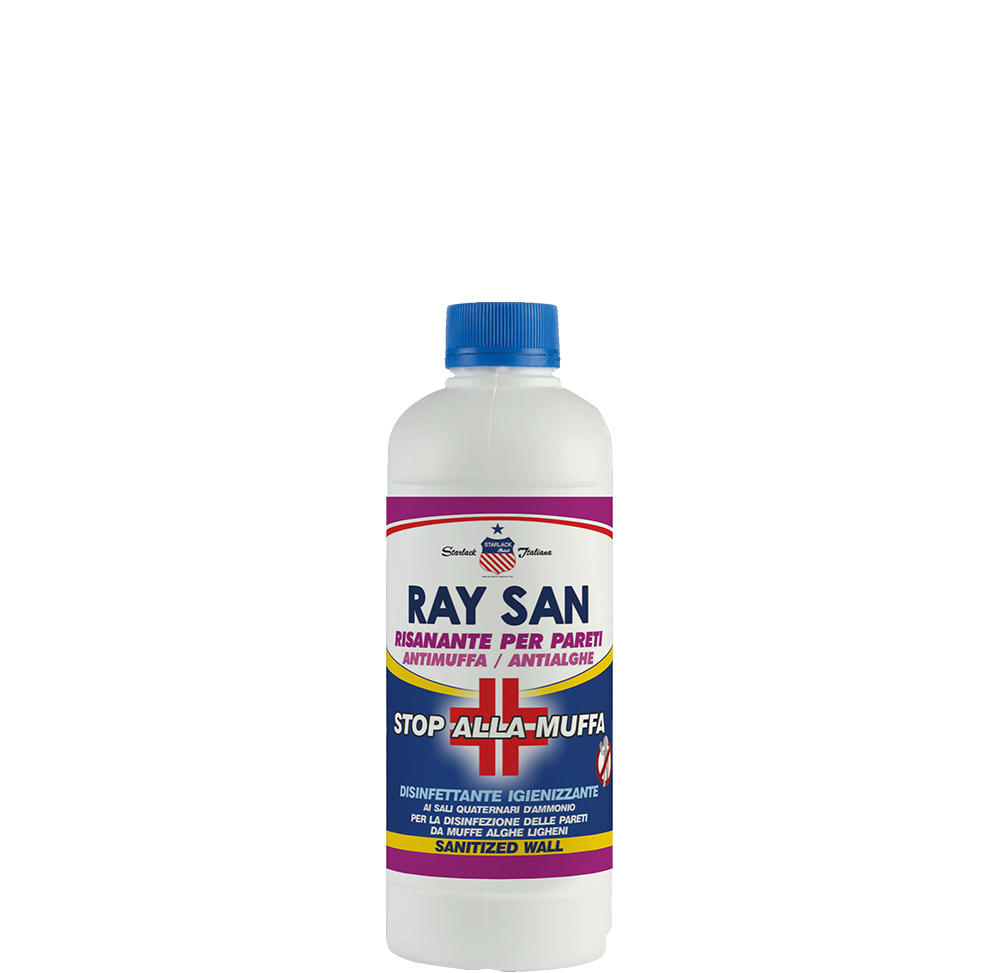 RAYSAN DETERGENTE ANTIMUFFA 1LT