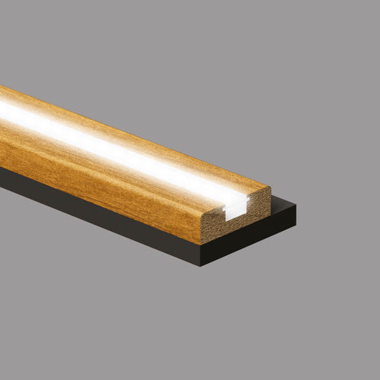 Pannello Profilo singolo per Alloggio LED - 55 x 3000 mm - Acero - ARD